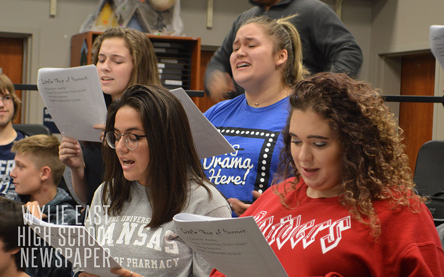 Stage leaders\\ Roles for the upcoming Little Shop of Horrors were announced Oct. 8. Sophomore Jamie Gammon is Audrey and senior Kendall Bruner is Audrey II. The play will premiere in January.