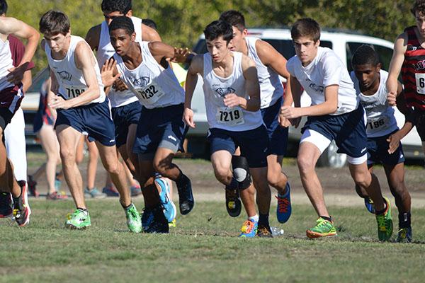 Cross country boys win second; girls place third at district