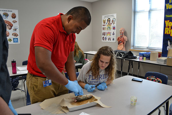 Students dissect rats in A&P.