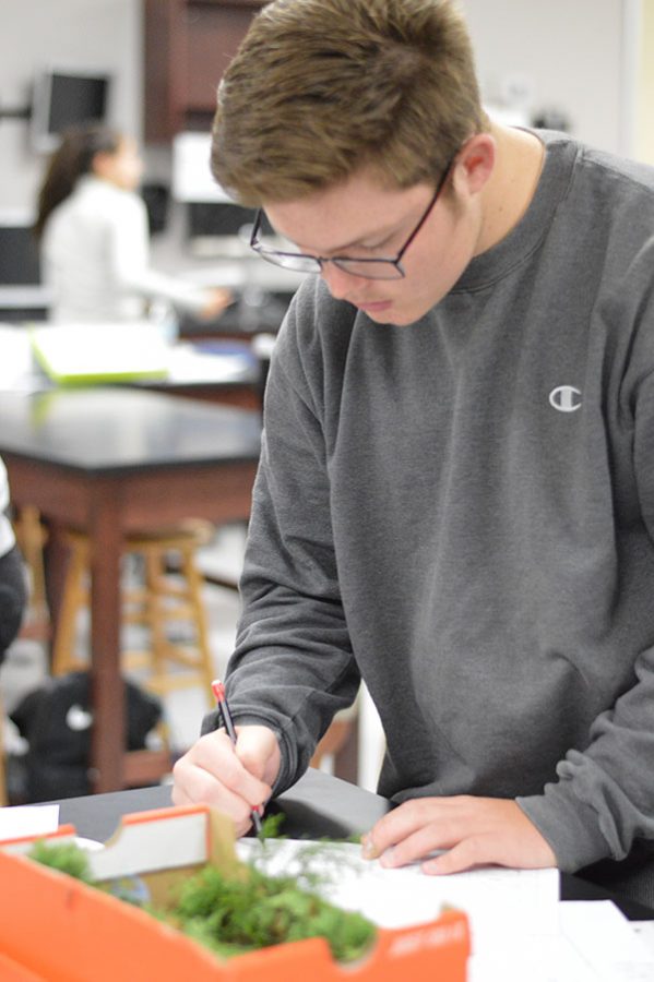 Show and tell \\ Working on the Fairy Tale project, senior Nicholas McConnell writes out his key evidence for his crime scene model he was assigned to in Mrs Miller’s second period forensics science class Oct. 24.