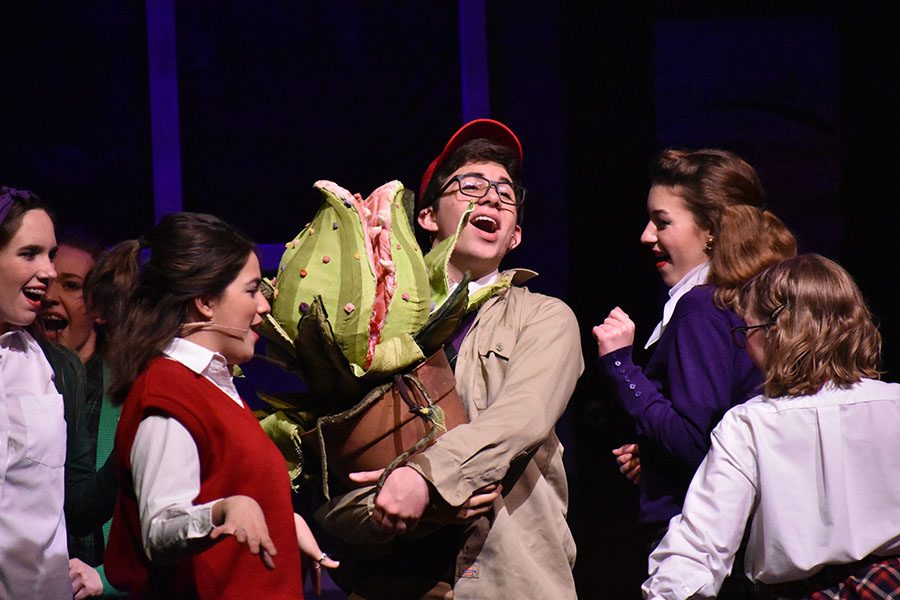 Sudden success // Singing Ya Never Know during a dress rehearsal of Little Shop of Horrors, Seymour Krelboyne, played by freshman Elbert Haney, is surrounded by Doo-Wop girls senior Macy Herrera, junior Cecil Pulley and sophomore Iris Kurz as they sing about his recent success stemming from the plant, Audrey II. Haney received a nomination for Best Leading Actor alongside other nominations with castmates and crew.  