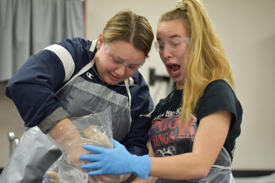 Tops in Texas \\ This reaction to a fetal pig earned senior Cason Jackson first place and a Tops in Texas honor for Academic Photo in UILs Interscholastic League Press Conference.