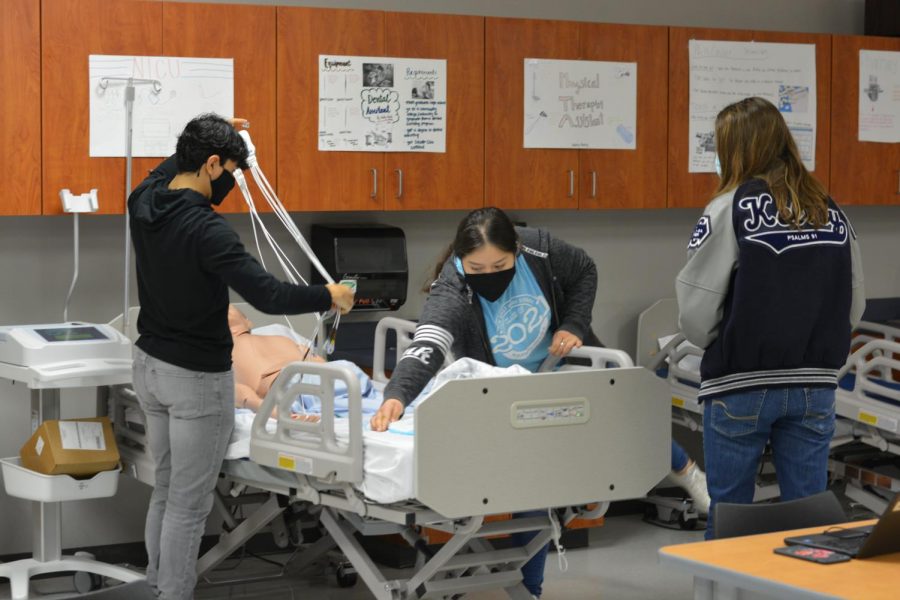 Heartfelt Future // Practicing their lead placement for their EKG, senior Nancy Gomez, and other students prepare for their health care careers. “I am really outgoing with people so working with different patients and people is interesting to me. I am planning to be a sonographer or an ultrasound tech,” Gomez said.