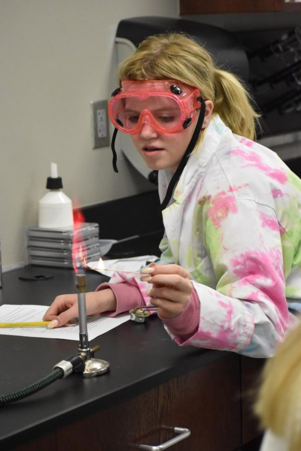 Let it burn \\ Observing how an unknown chemical reacts to fire, sophomore Maci Kindred takes note of what color the fire changes to Sept. 20. In Mr. Vito Peri’s AP Chemistry class, students dipped a wooden stick in an unknown chemical then used a bunsen burner to see how the fire reacted to it. 
