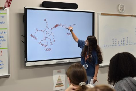 On her nerves \\ Illustrating what a nerve cell looks like, Ms. Elise Gerard teaches her second period students what axons are.